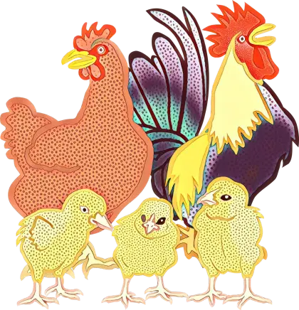 Illustration of cartoon chickens and chicks