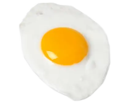 Fried Egg Illustration