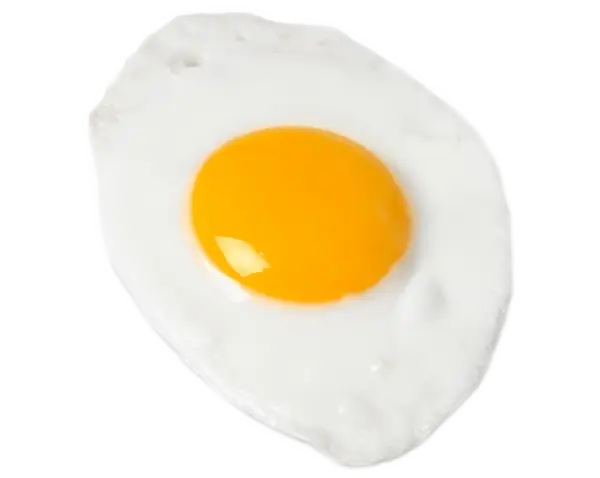 Fried Egg Illustration
