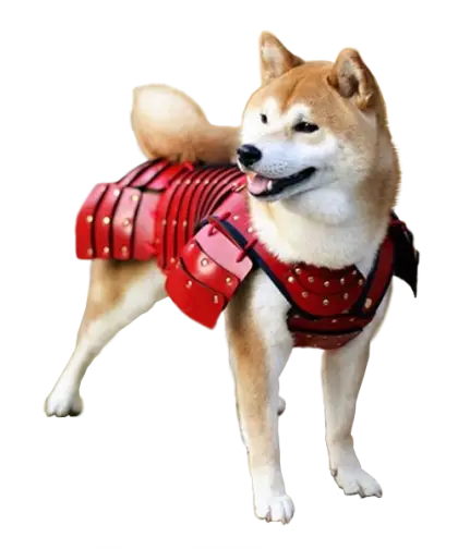 Dog in Red Armor