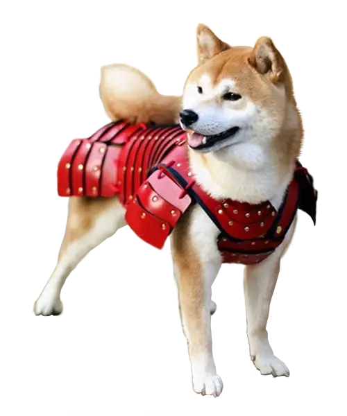 Dog in Red Armor
