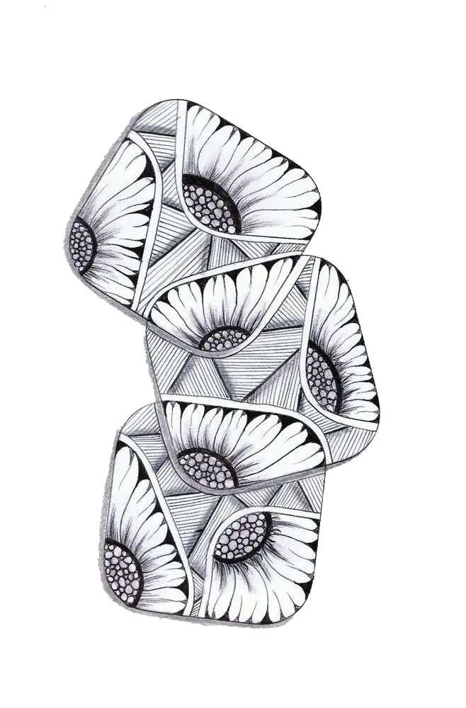 Black and White Floral Art