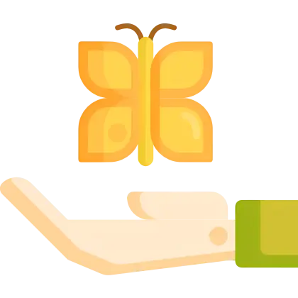 Yellow Butterfly on Hand Illustration