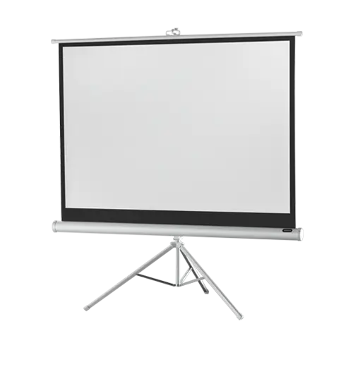 Projector Screen for Presentations