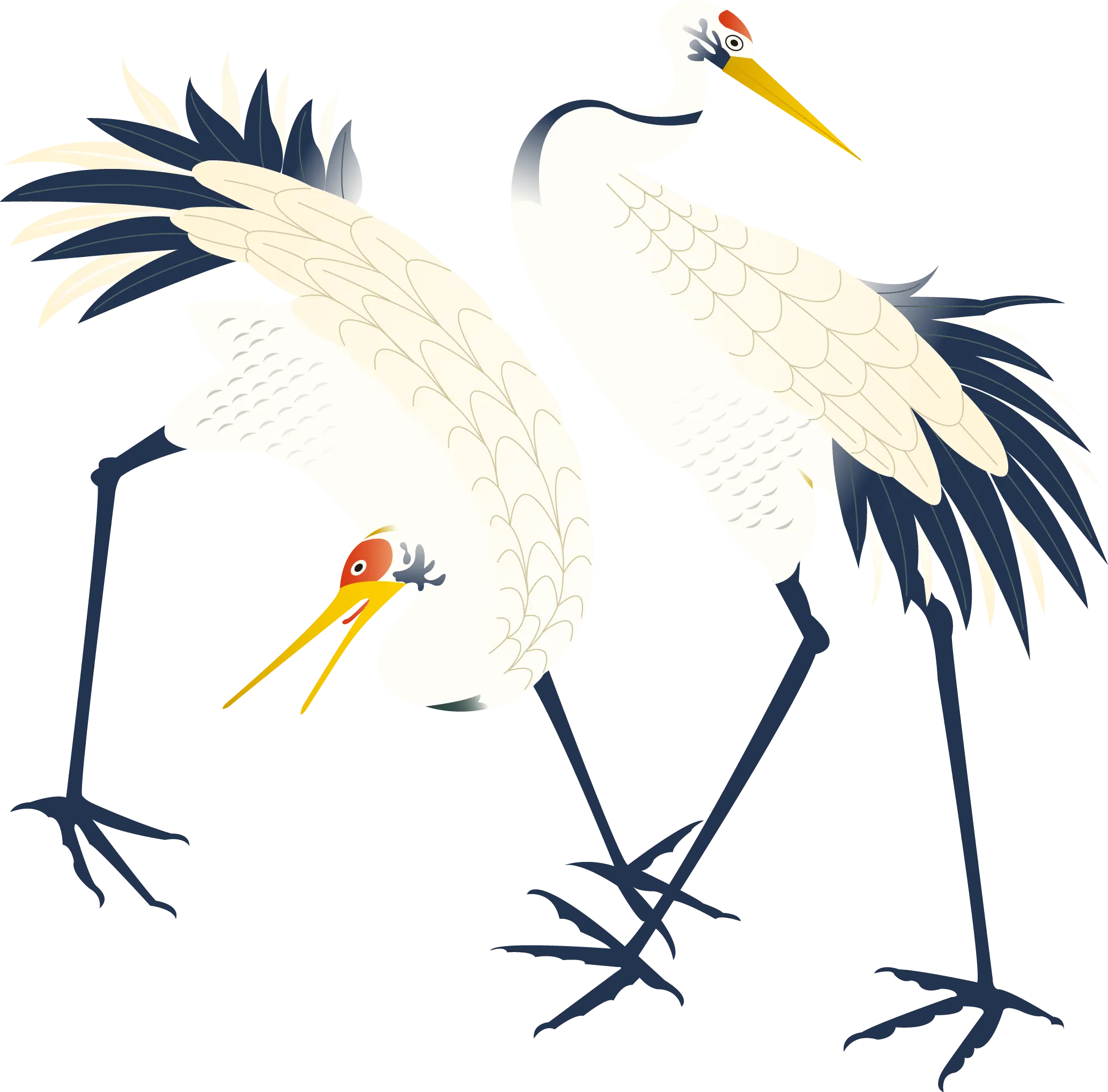 Elegant White Crane Illustration