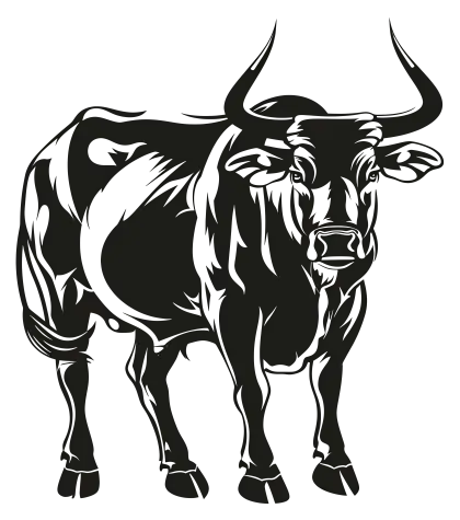 Stylized Black Bull Illustration