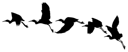 Silhouettes of Flying Birds in Formation
