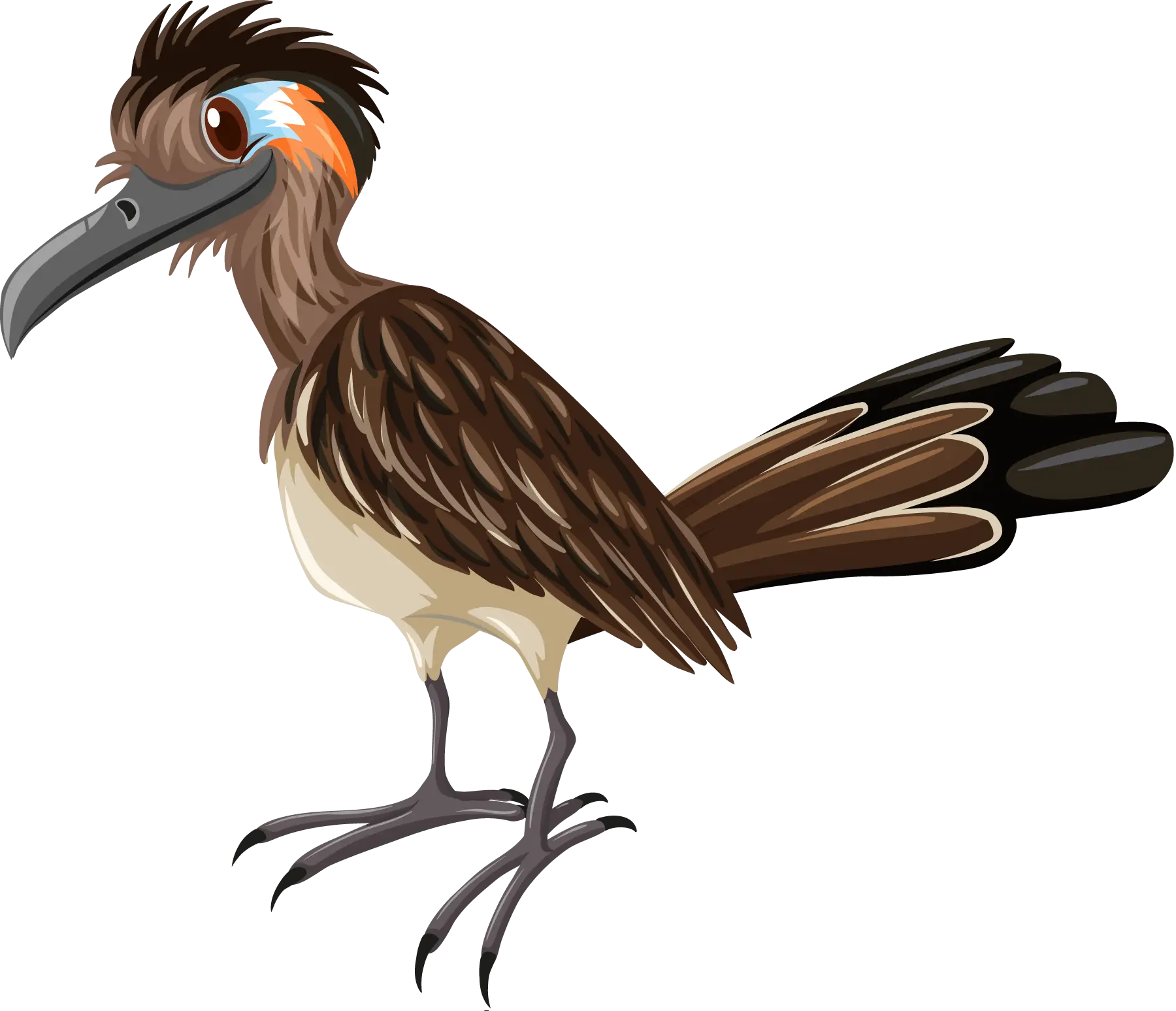 Exotic Cartoon Bird Illustration