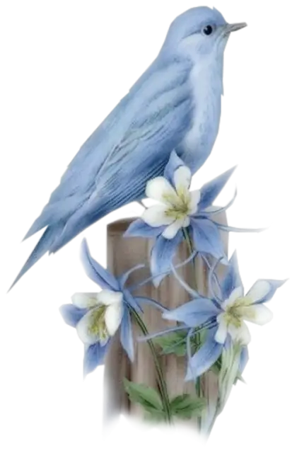 Blue Bird Perched on Flowers