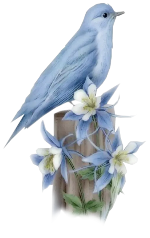 Blue Bird Perched on Flowers