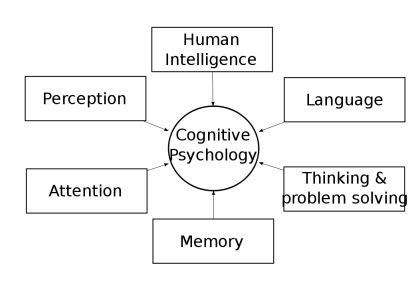 Cognitive Psychology Components Diagram
