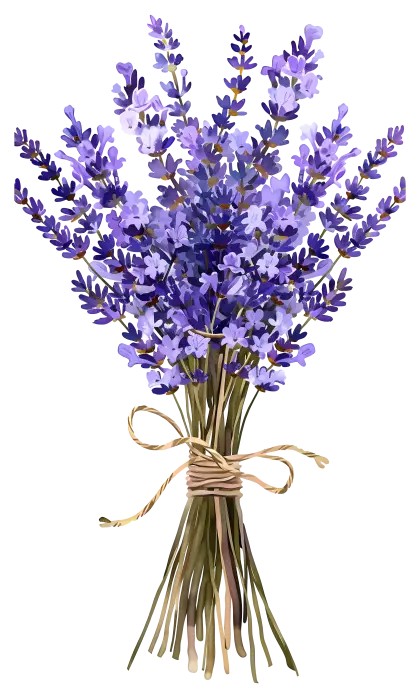 Lavender Flower Bouquet Illustration