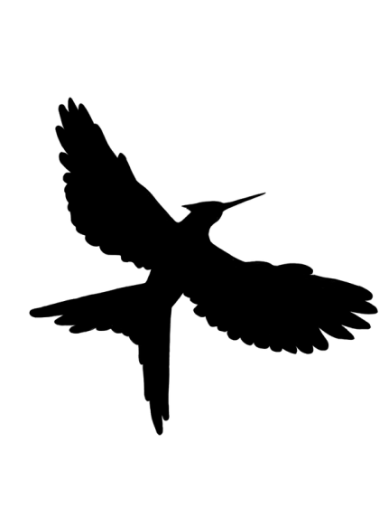 Flying Bird Silhouette Design