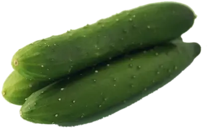Fresh Green Cucumbers on Display