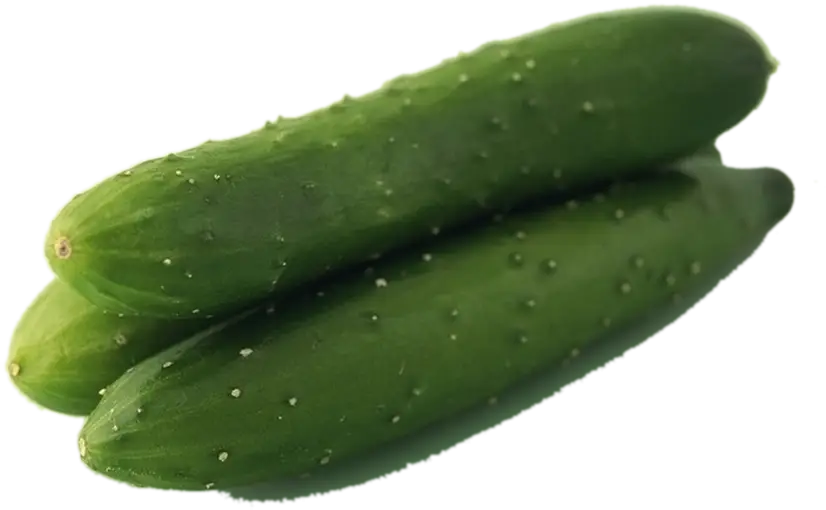 Fresh Green Cucumbers on Display