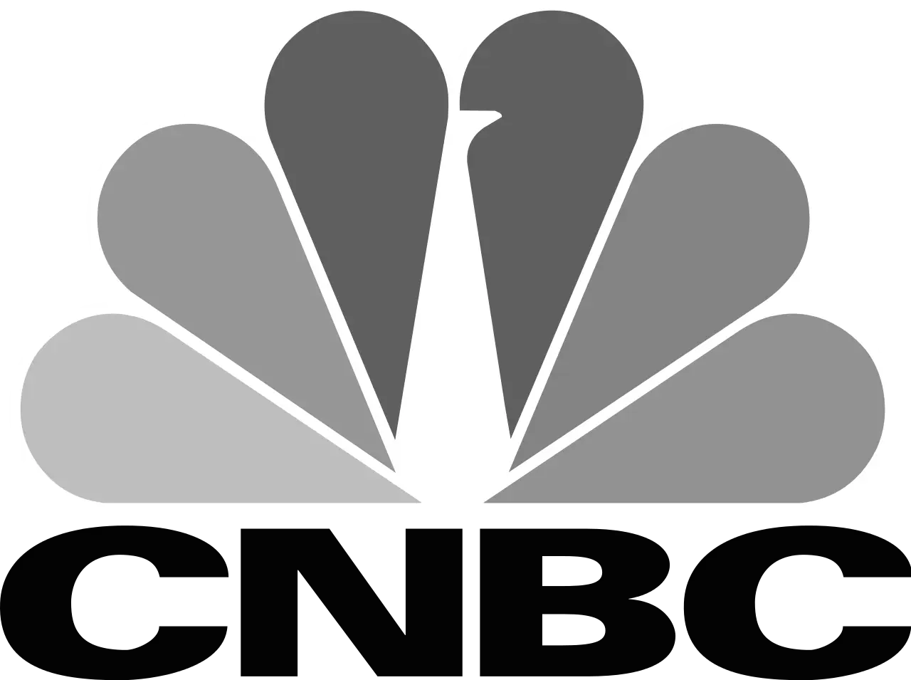 CNBC Logo with Peacock Design