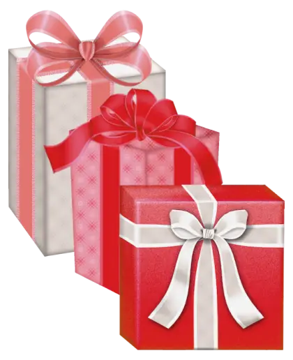 Gift Boxes with Elegant Ribbons