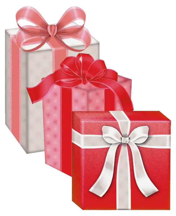 Gift Boxes with Elegant Ribbons