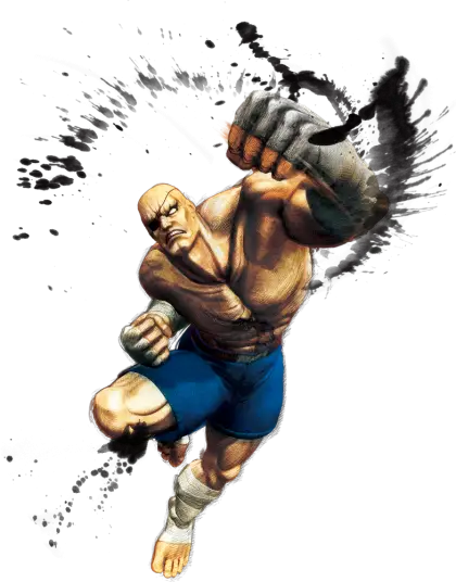 Fighting Character in Dynamic Action Pose