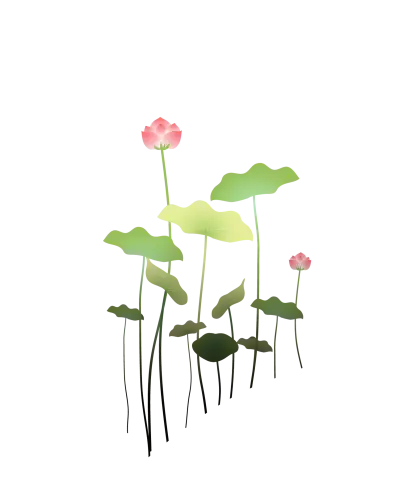 Lotus Flowers with Green Leaves Illustration