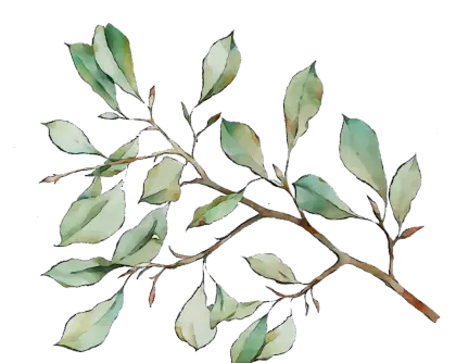 Green Leafy Branch Watercolor Illustration