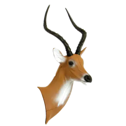 Antelope Head Mount for Decoration