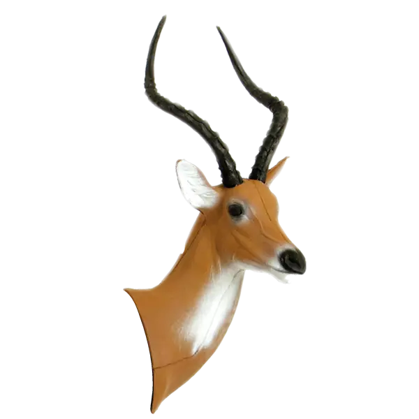 Antelope Head Mount for Decoration