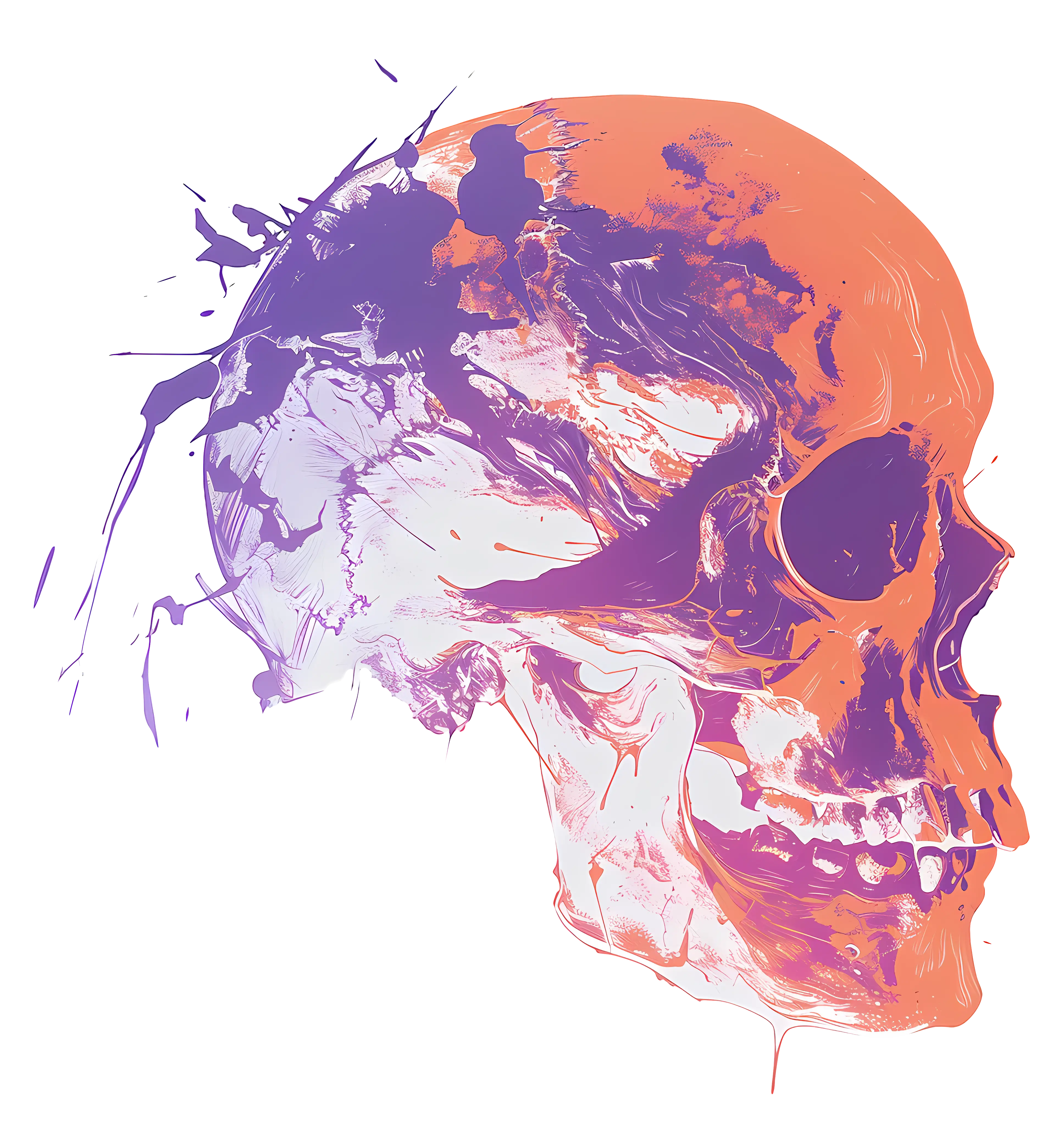 Abstract Colorful Skull Illustration