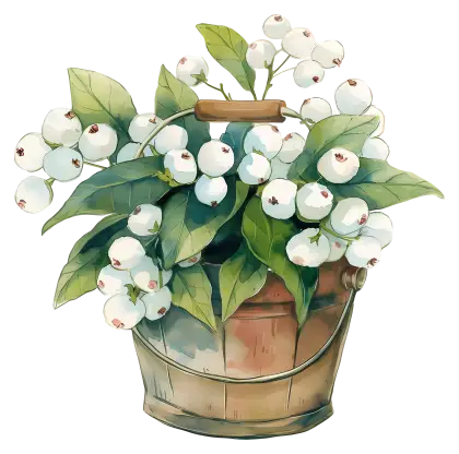White Berries in Metal Bucket