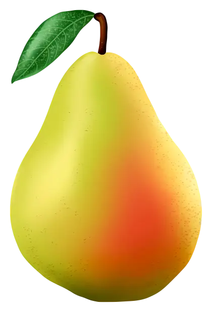 Green-Yellow Pear Illustration