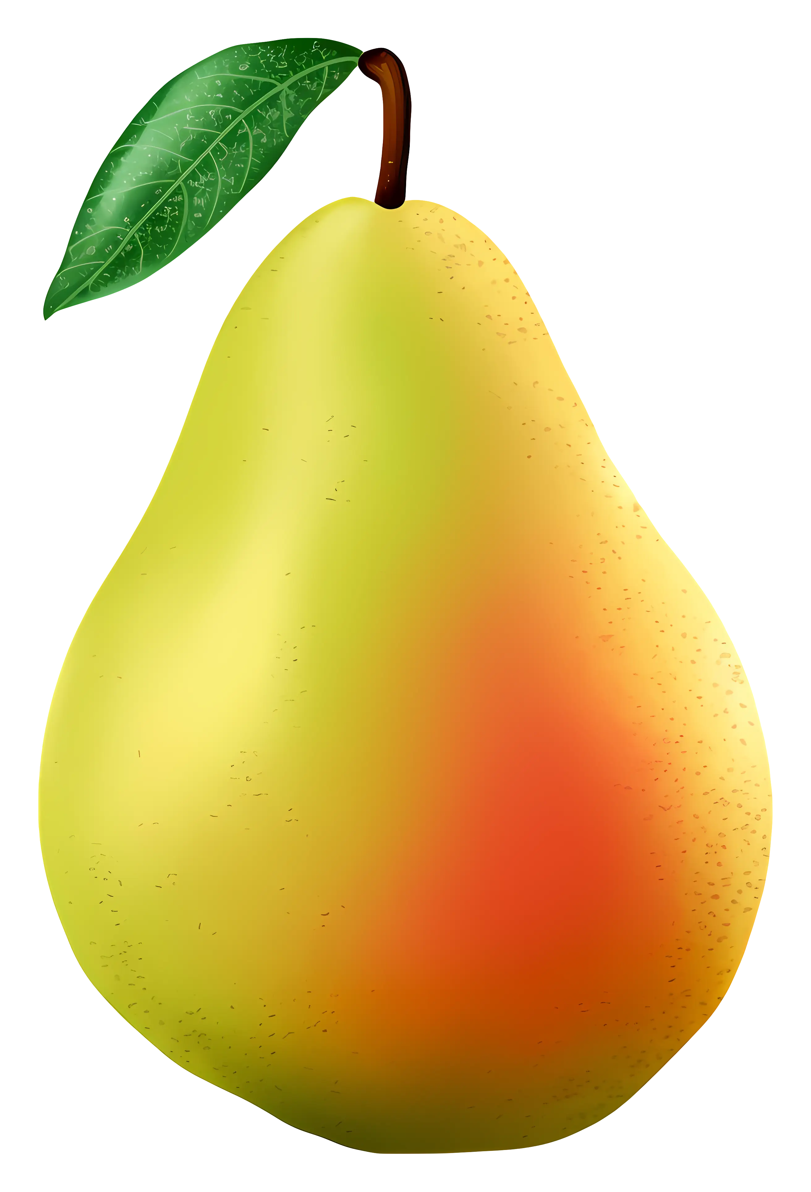 Green-Yellow Pear Illustration