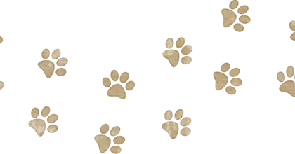 Brown Paw Prints Pattern