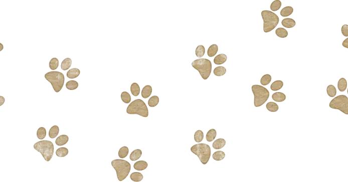 Brown Paw Prints Pattern