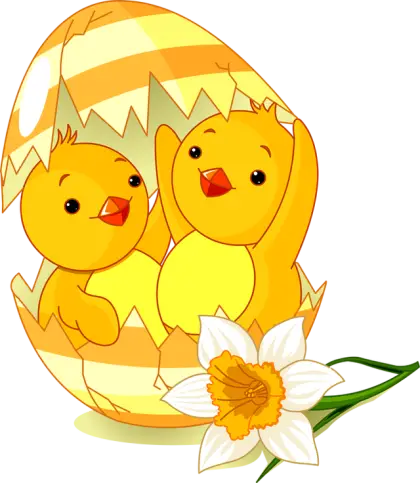 Two Cute Chicks in Eggshell with Flower