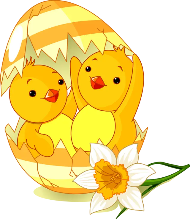 Two Cute Chicks in Eggshell with Flower