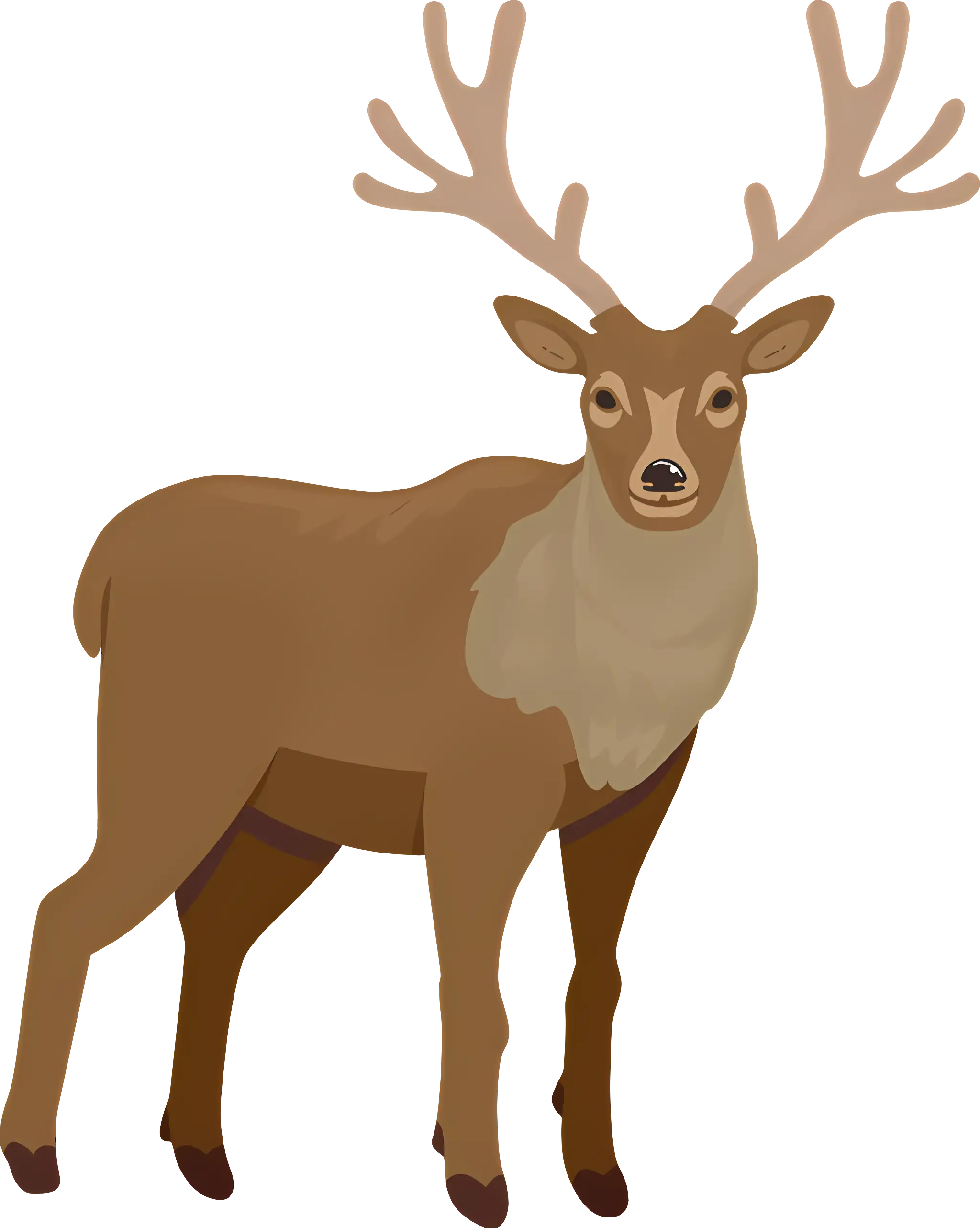 Illustration of Brown Deer with Antlers