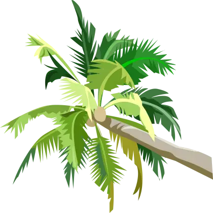 Illustration of a Palm Tree