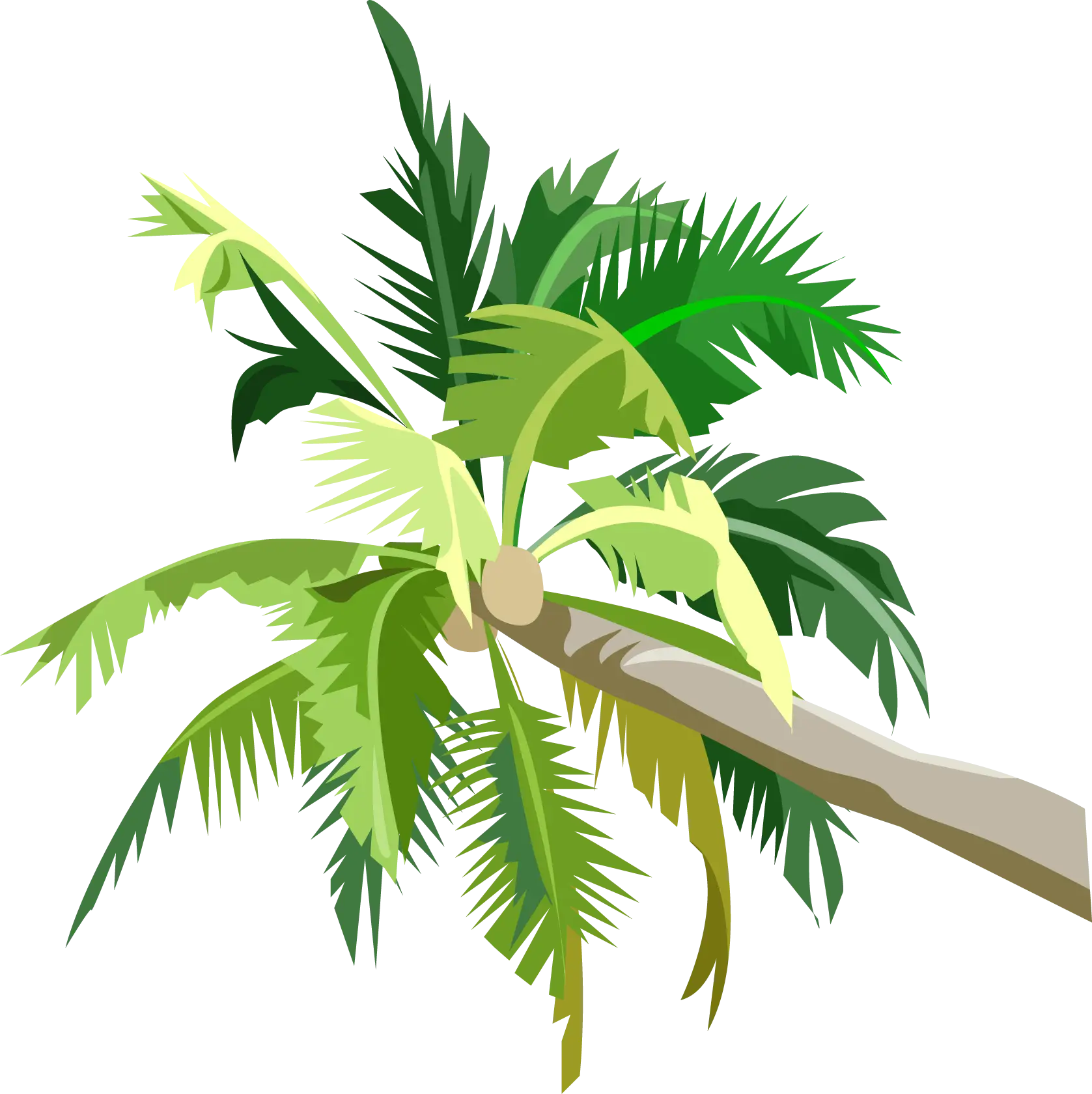 Illustration of a Palm Tree