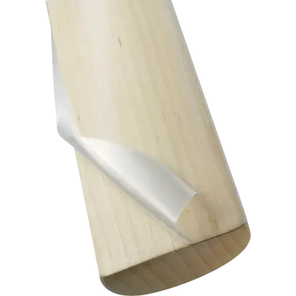 Wood Shaving from Carving