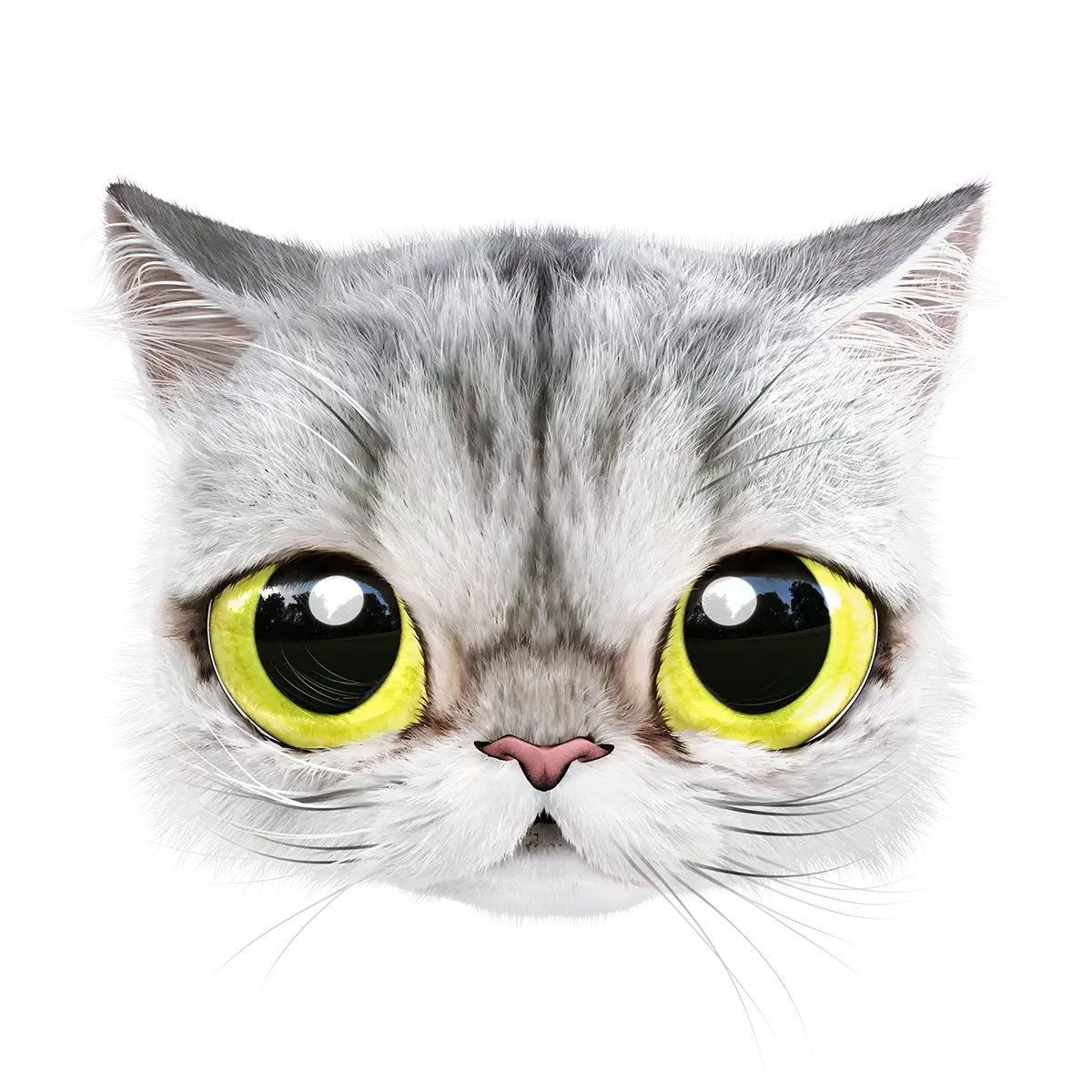 Cute Cat with Big Eyes