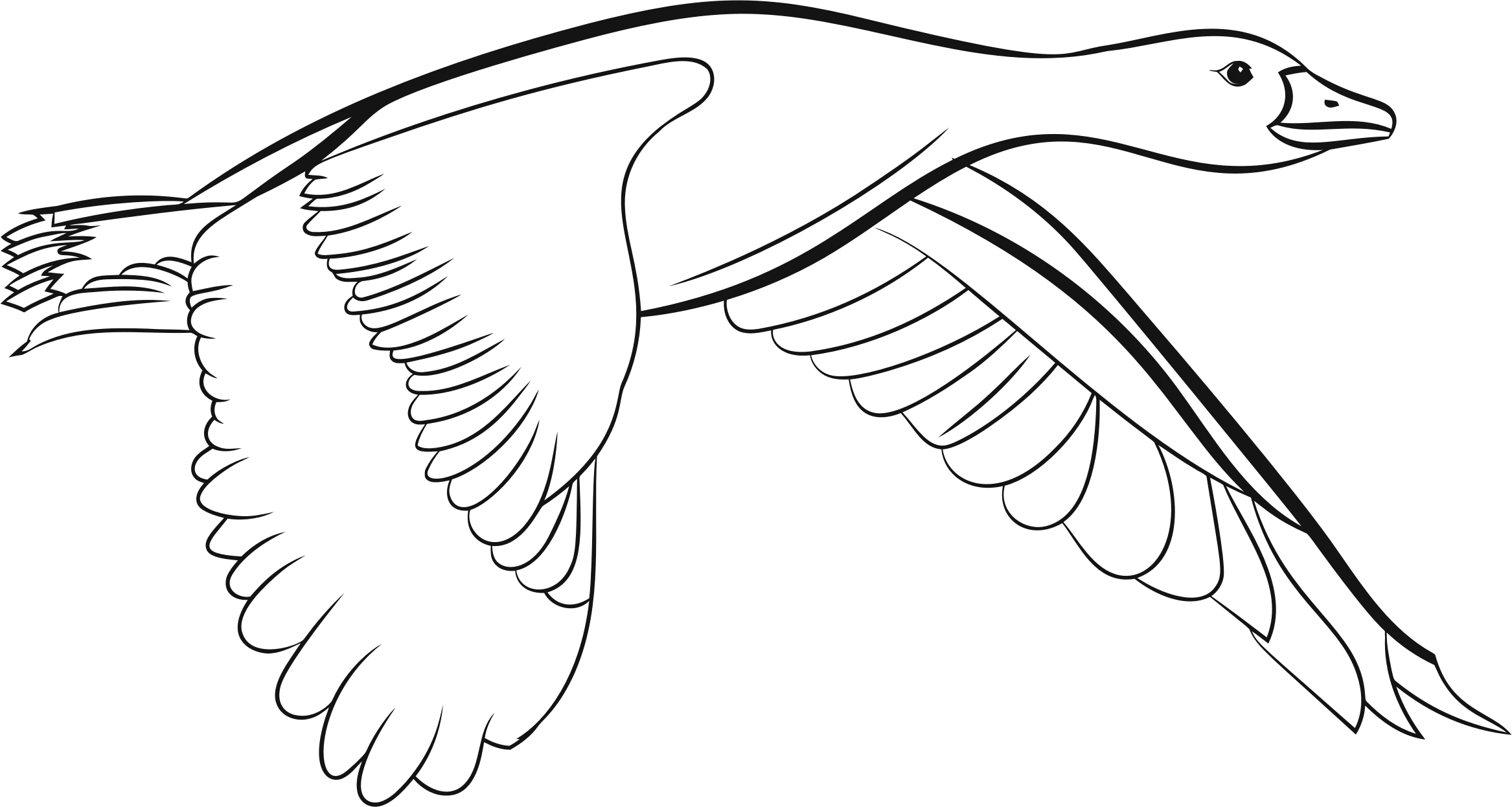 Line Drawing of a Flying Bird