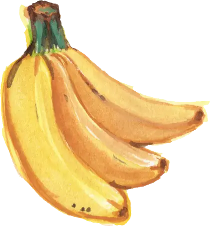 Yellow Bananas Illustration