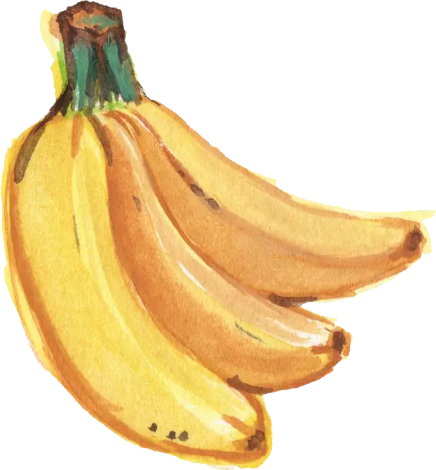 Yellow Bananas Illustration