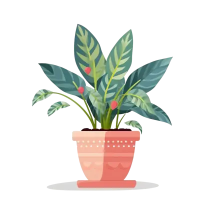Potted Decorative Plant Illustration