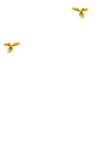 Yellow Macaw Birds Flying