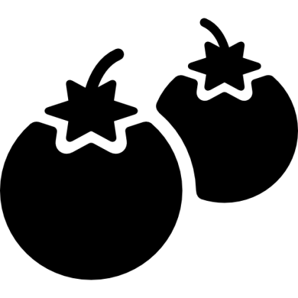 Tomato Silhouette Illustration in Black