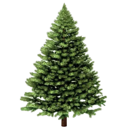 Realistic Green Pine Tree