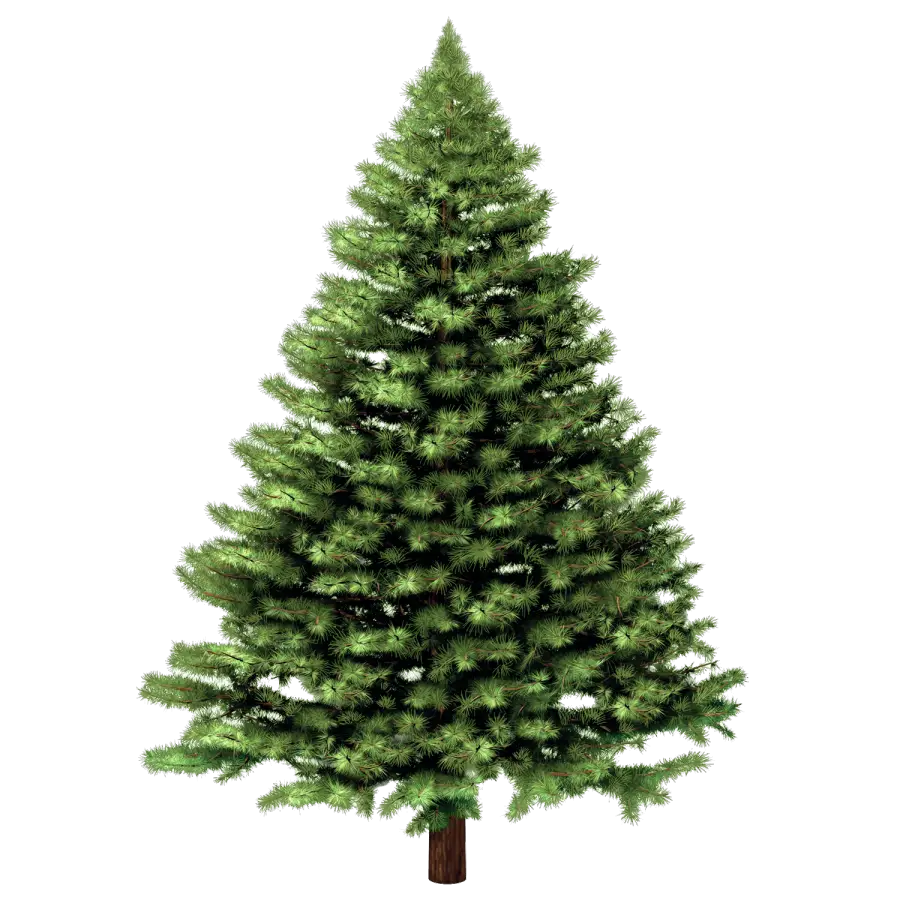 Realistic Green Pine Tree