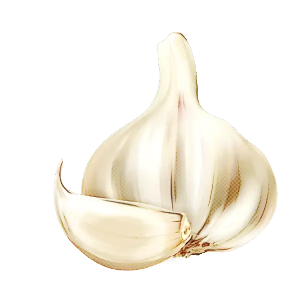 Fresh Garlic Bulb with Clove