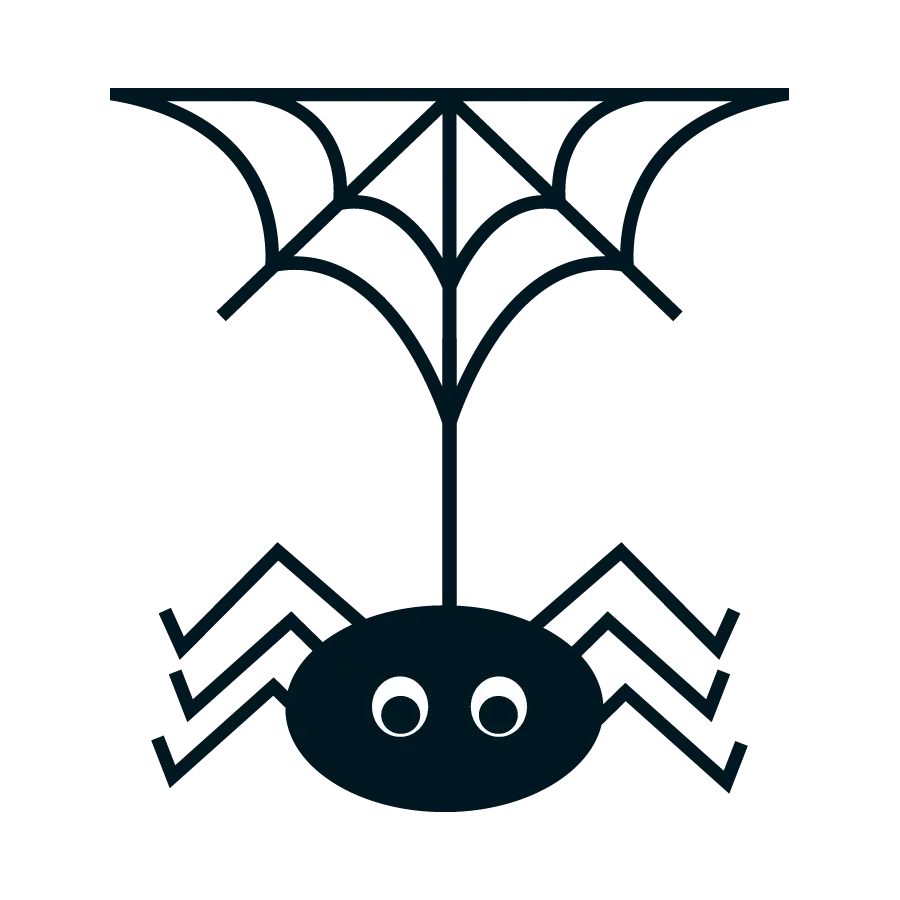 Black Spider with Web